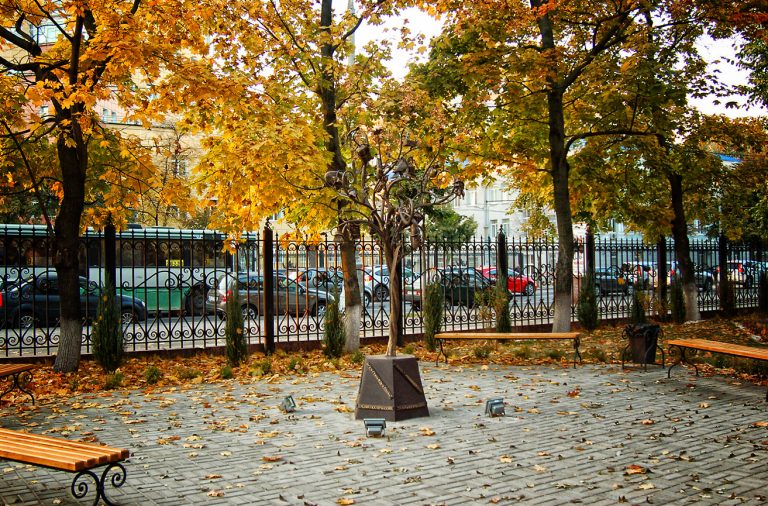 Воронежское чудо-дерево