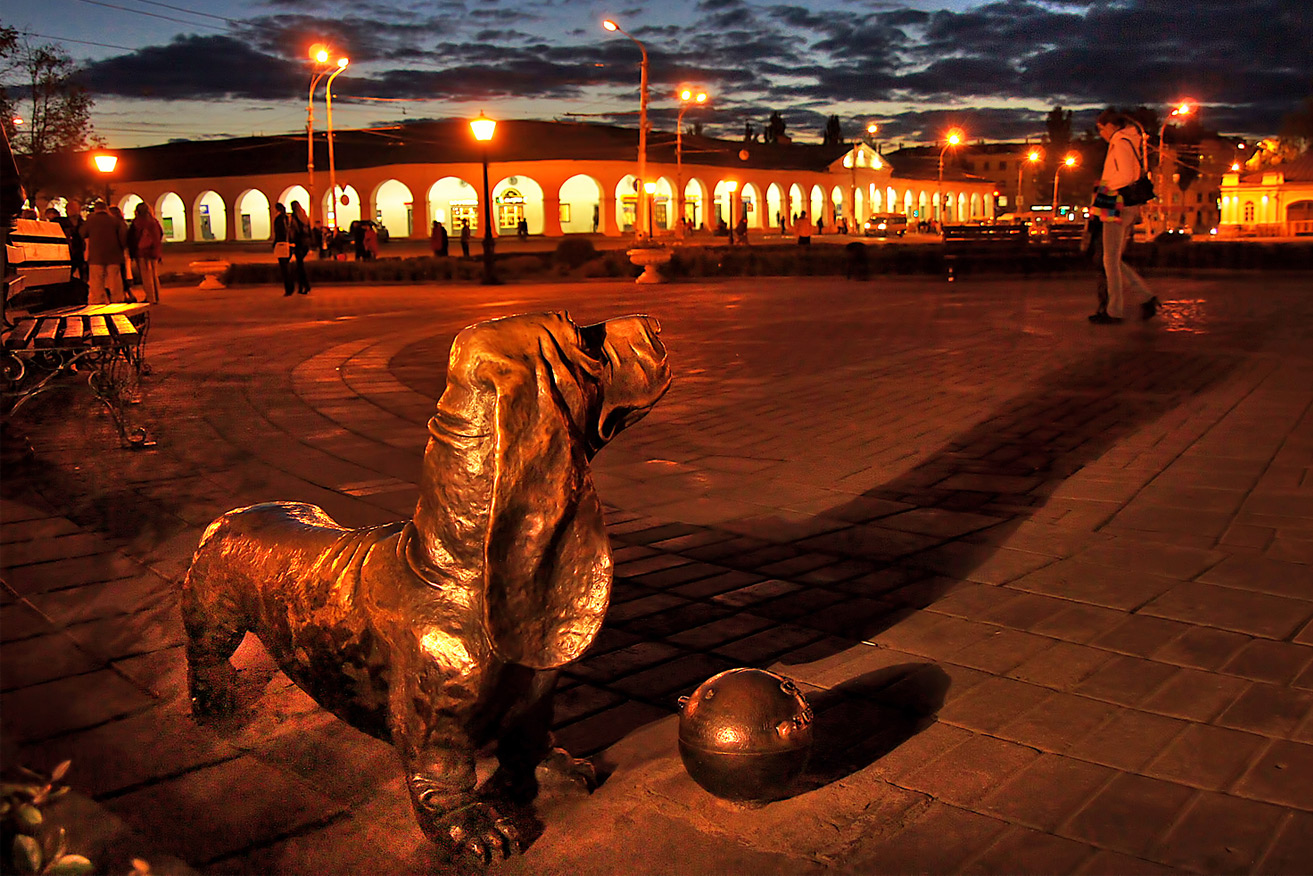 Собаке герою кострома сусанинская площадь фото Собаке герою кострома сусанинская площадь фото