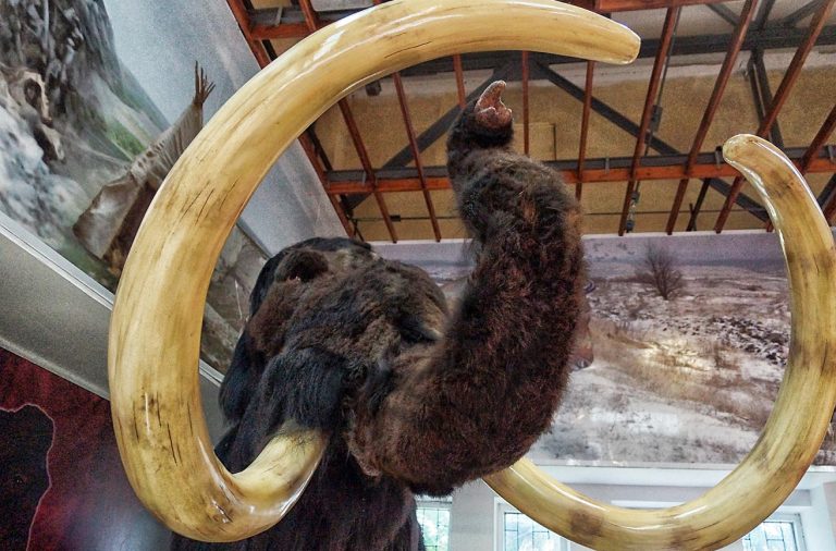 Зов мамонтов