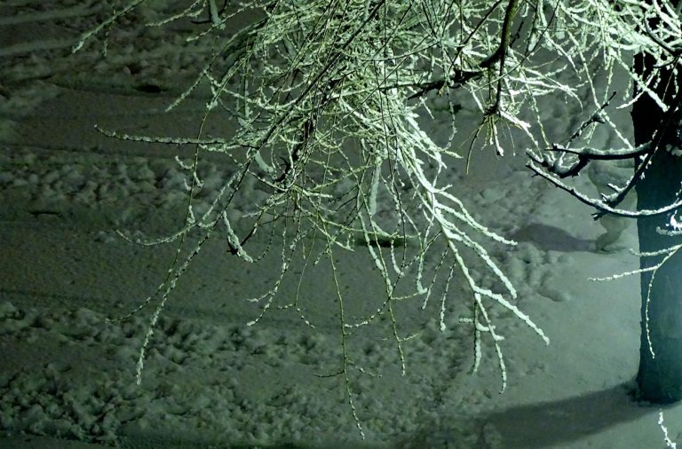 Время снеговиков